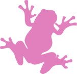 Pink Frog Interactive