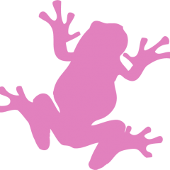 Pink Frog Interactive